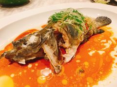 -伯衡55·吉品轩(乌鲁木齐南路店)