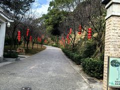 -广州市帽峰山景区