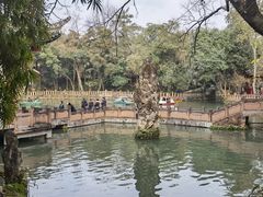 -房湖公园