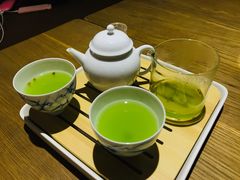 -柴务处·柴犬主题狗咖