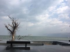 -大理无舍度假酒店