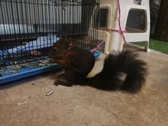 -MOJO密室逃脱(中街旗舰店)