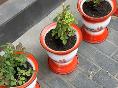 -永安里地摊烤肉(首创店)