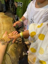 -酷嗒动物文化乐园(cutezoo西溪乐天城店)