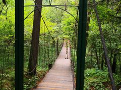 -五营红松林海景区