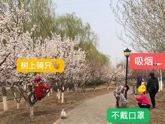 -永定河休闲森林公园