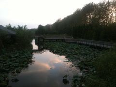 -溱湖国家湿地公园