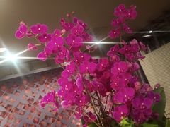 -LANN I 蘭 泰式古法按摩(徐家汇城开YOYO店)