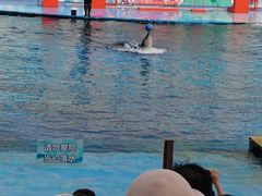 -北戴河圣蓝海洋公园