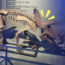 -恐龙探索乐园(磁器口店)