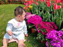 -南通鲜花小镇