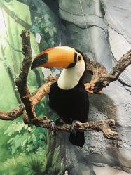 -Zoolung Zoolung动物主题公园(海信广场店)