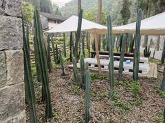 -MOJ coffee(瓯海泽雅水碓坑店)