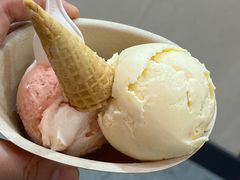 -极拉图·现制冰淇淋(梅溪湖新天地步步高店)