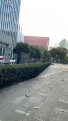 点击看大图 -苹果树儿童摄影工作室