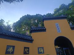 -鸡鸣赐茶(鸡鸣寺路店)