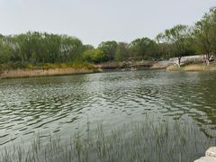 -大兴滨河森林公园