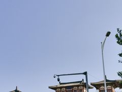 -西安乐游原