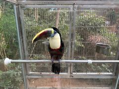 -南宫五洲植物乐园