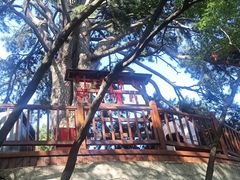 -终南山南五台景区