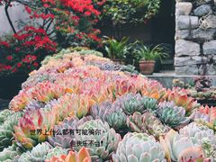 -寂照庵