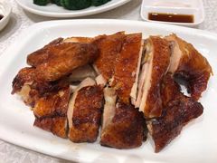 -海港酒家(上水新丰店)