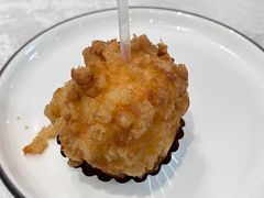 -丁老爷子苏香圆