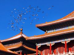 -故宫博物院(故宫)