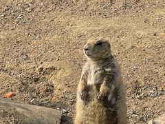 -祥源·阜阳生态乐园