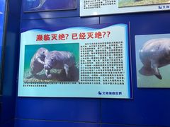 -北海海底世界
