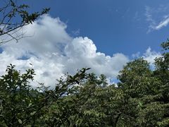 -山王坪喀斯特国家生态公园