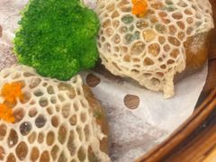 -国龙大酒店-中餐厅