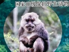 -西岭雪山大飞水景区