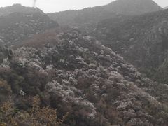 -北京鹫峰国家森林公园