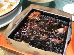 -三强鸽子(中原路店)