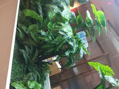 -悦海·家宴·冰花皮皮虾大锅贴(宝龙店)