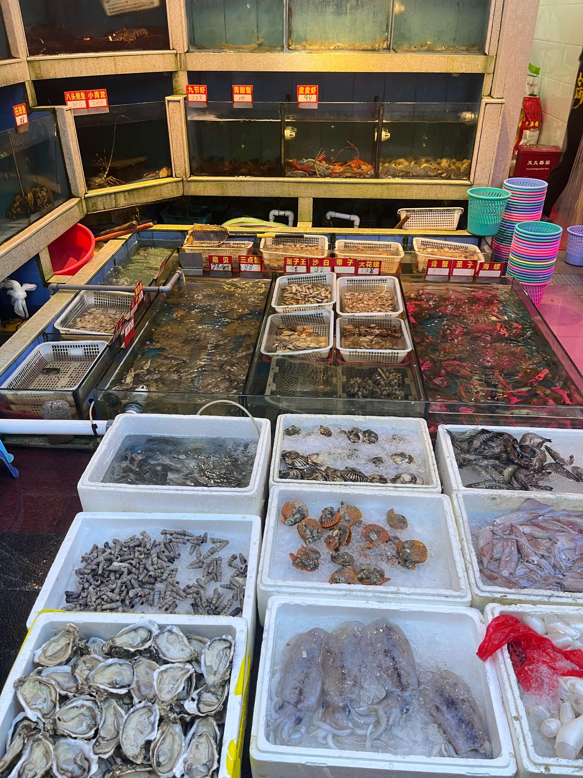 真是火爆的一条美食街,爱吃海鲜的朋友可以