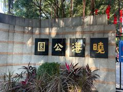 -晓港公园