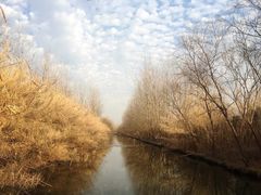 -溱湖国家湿地公园