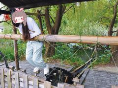 -溱湖国家湿地公园