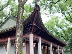 -天一阁博物院