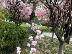 -红豆杉庄会议中心
