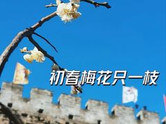 -北京明城墙遗址公园