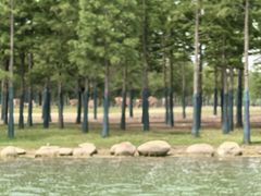 -金沙湖旅游度假区