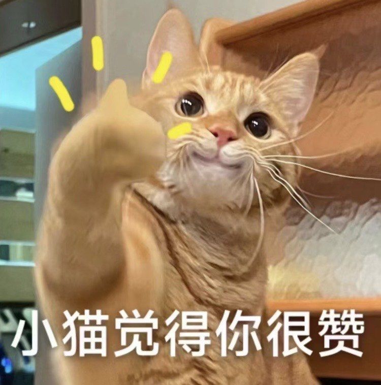猫咪表情包来啦
