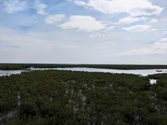 -北海金海湾红树林生态旅游区