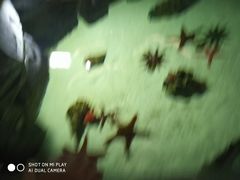 -福州罗源湾海洋世界旅游区