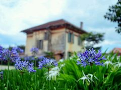 -那些花儿鲜花店(小寨店)