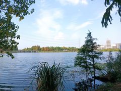 -绍兴镜湖国家城市湿地公园