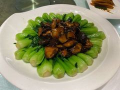 青菜香菇-乾隆美食·本帮菜(黄河路店)